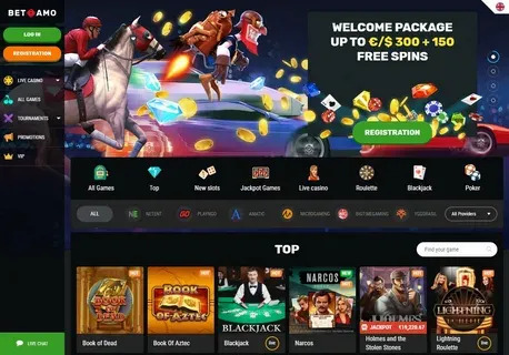 como funciona aposta sem risco bet365 